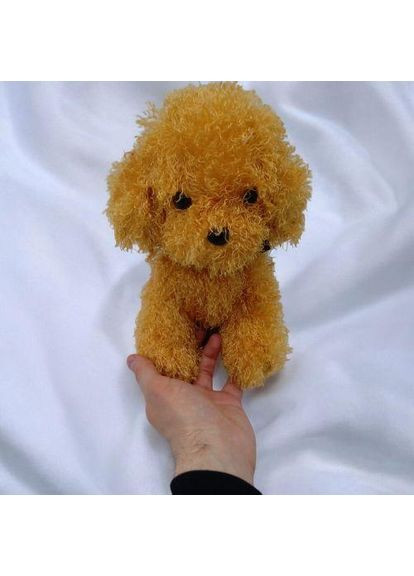 М'яка іграшка собачка Мальтіпу 24 см вид 3 Копиця (353495624)