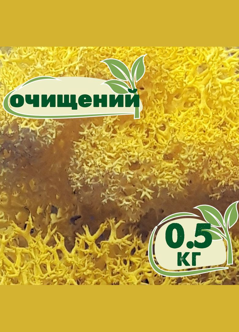 Очищенный стабилизированный мох ягель Желтый лимонный 0,5 кг Nordic moss (276401183)