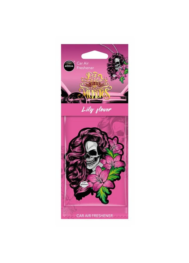 Сухой освежитель (лист) - "Aroma" - Dia De Los Muertos - Lillyflower 12050 No Brand (354764315)
