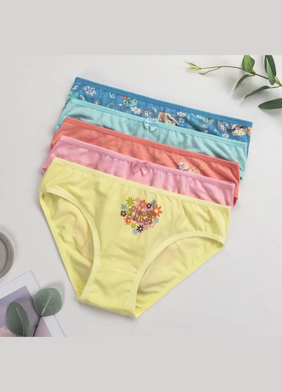 Набір трусиків дитячих сліпів для дівчаток 5 шт Nicoletta Трусики (342119801)