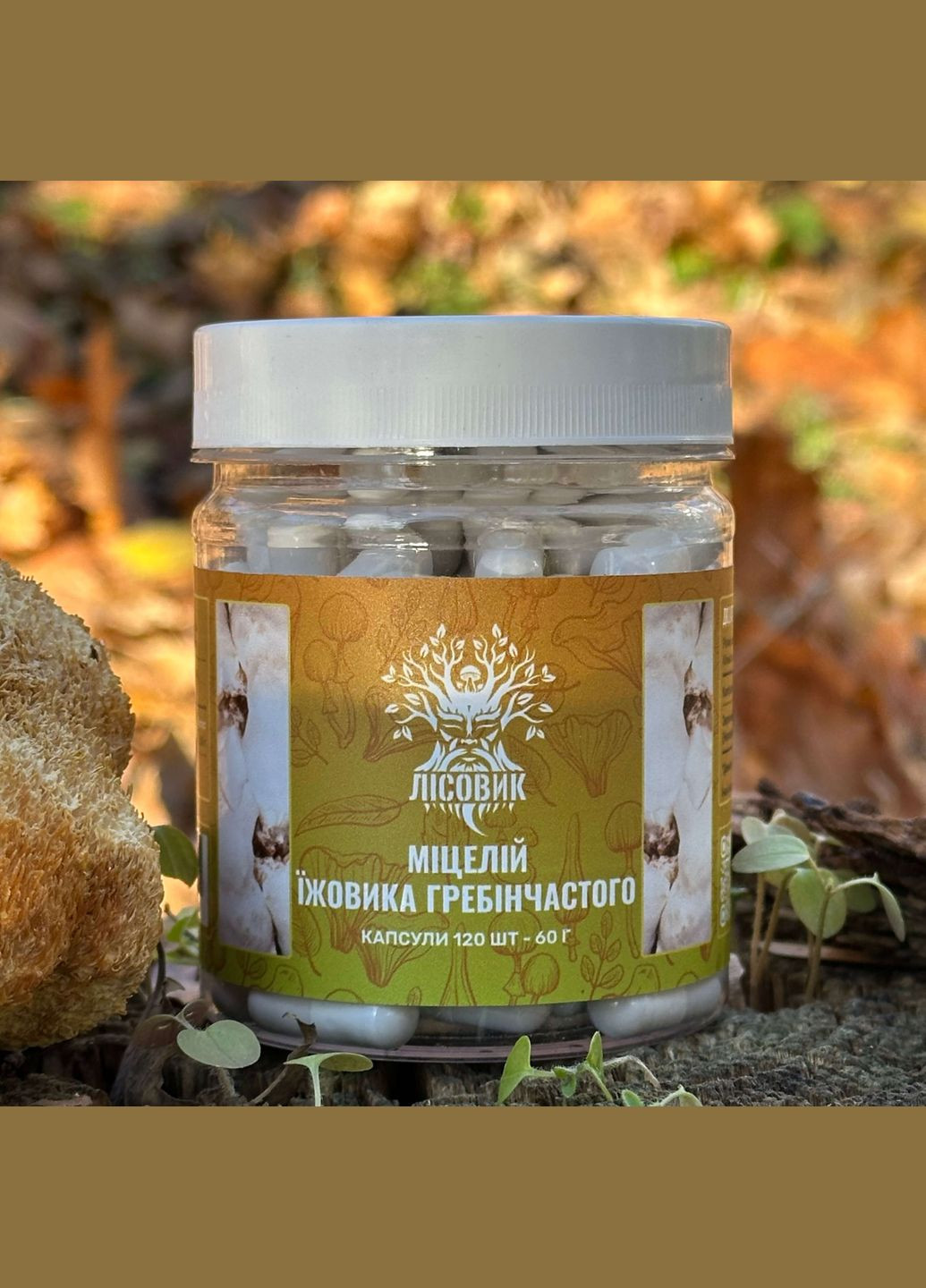 Мицелий ежика гребенчатого в капсулах 120 шт по 0,5 г Лісовик (334292926)