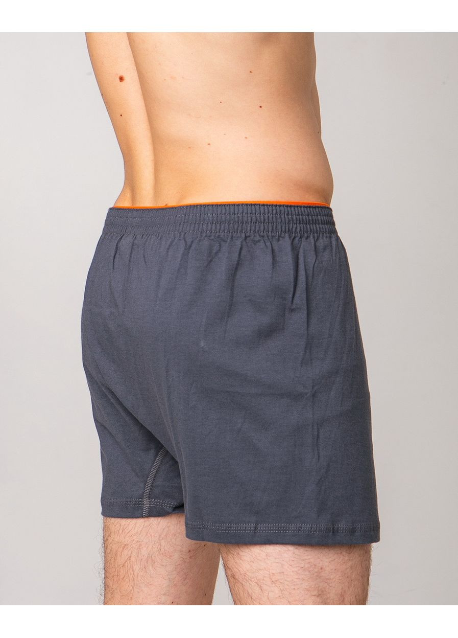 Семейные мужские трусы 100% хлопок 0041-1 Ozkan (373274011)