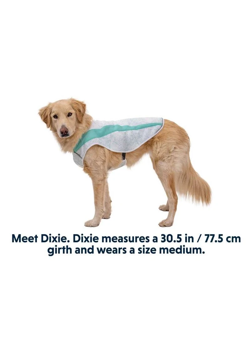 Охолоджуюча попона для собак Swamp Cooler™ M Зелений Ruffwear (387657498)
