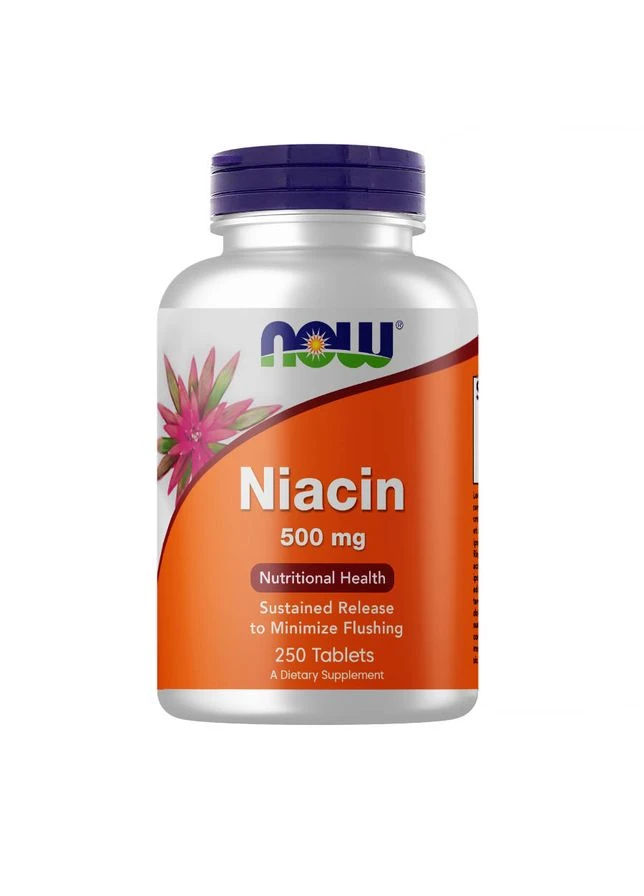 Витамины и минералы Niacin 500 mg, 250 таблеток Now (322209157)