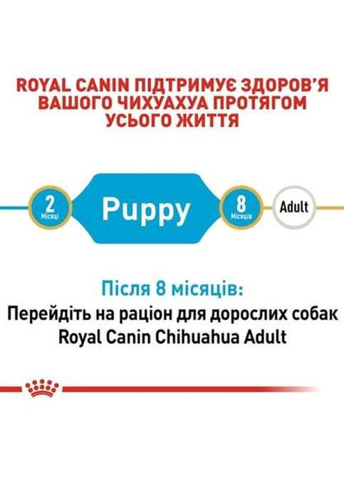 Сухий повнораційний корм Chihuahua Puppy від 2 до 8 місяців 1.5 кг 3182550722544 Royal Canin (266274160)