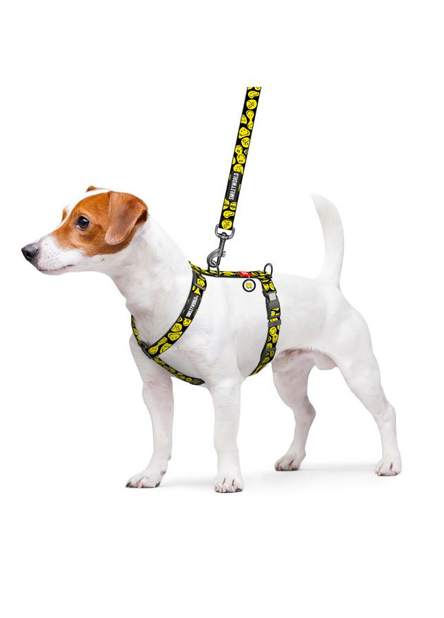 Шлея для собак Nylon з QR-паспортом, "Смайли на чорному", S, Ш 15 мм, A 30-45 см, B 36-45 см WAUDOG (333654034)