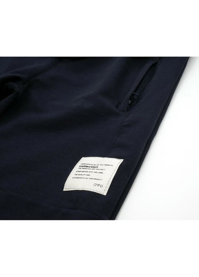 Темно-синие демисезонные брюки Joi