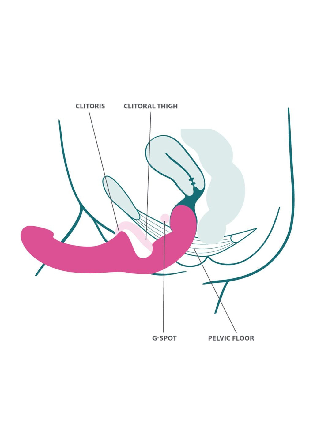 Безремінний страпон SHARE LITE blackberry, регульований, полегшена модель - CherryLove Fun Factory (366962698)