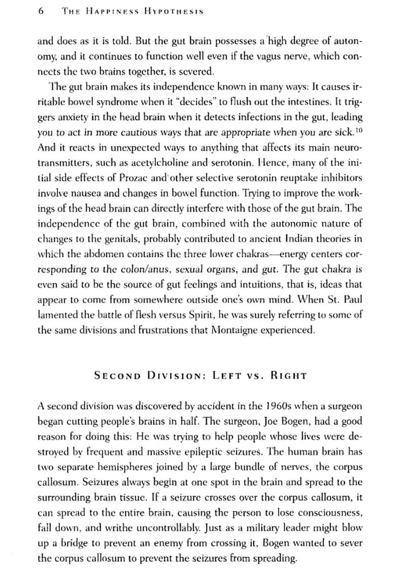 The Happiness Hypothesis: Ten Ways to Find Happiness and Meaning in Life Random House (370113936)