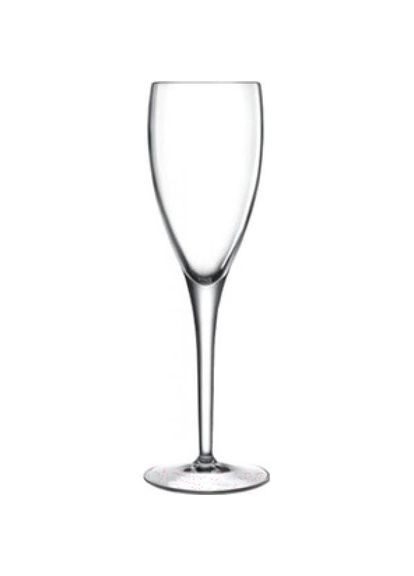 Келих для шампанського Michelangelo Professional Line 190 мл Luigi Bormioli (268735716)