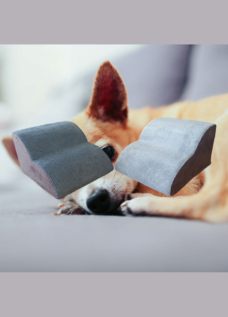 Пандус для собак купити Пандус для хатніх тварин Пандус для старих собак Пандус для цуценят Собачий пандус No Brand (339786384)