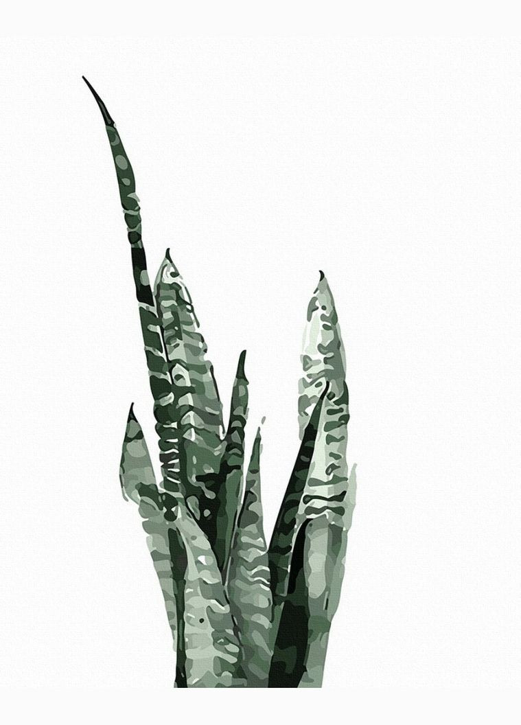 Картина за номерами Сансевієрія аквареллю 40х50 Малювання по номерах Картини за номерами рослини GT61071 Brushme (308987977)