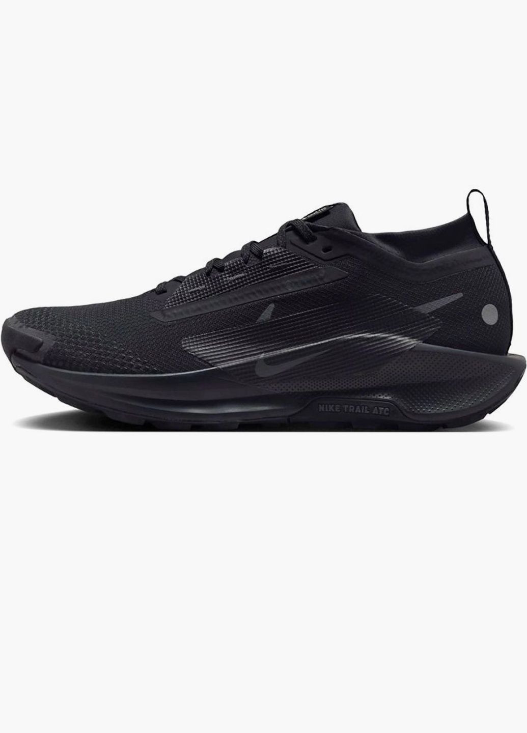 Чорні кросівки чоловічі pegasus trail 5 gore-tex black fq0908-002 Nike