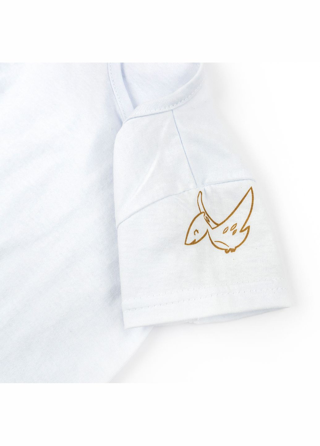 Песочник Dexter`s с футболкой для мальчика с принтом динозаврика dino dexter's (297440175)