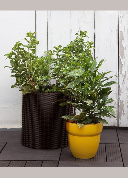 Горщик для квітів 39 л. Cylinder Planter Large, коричневий Keter (329408124)