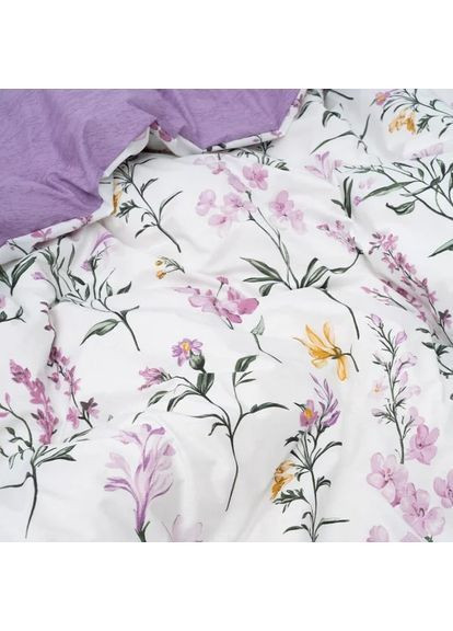 Комплект постільної білизни полуторний ранфорс 25366 100% бавовна Viluta (361971169)