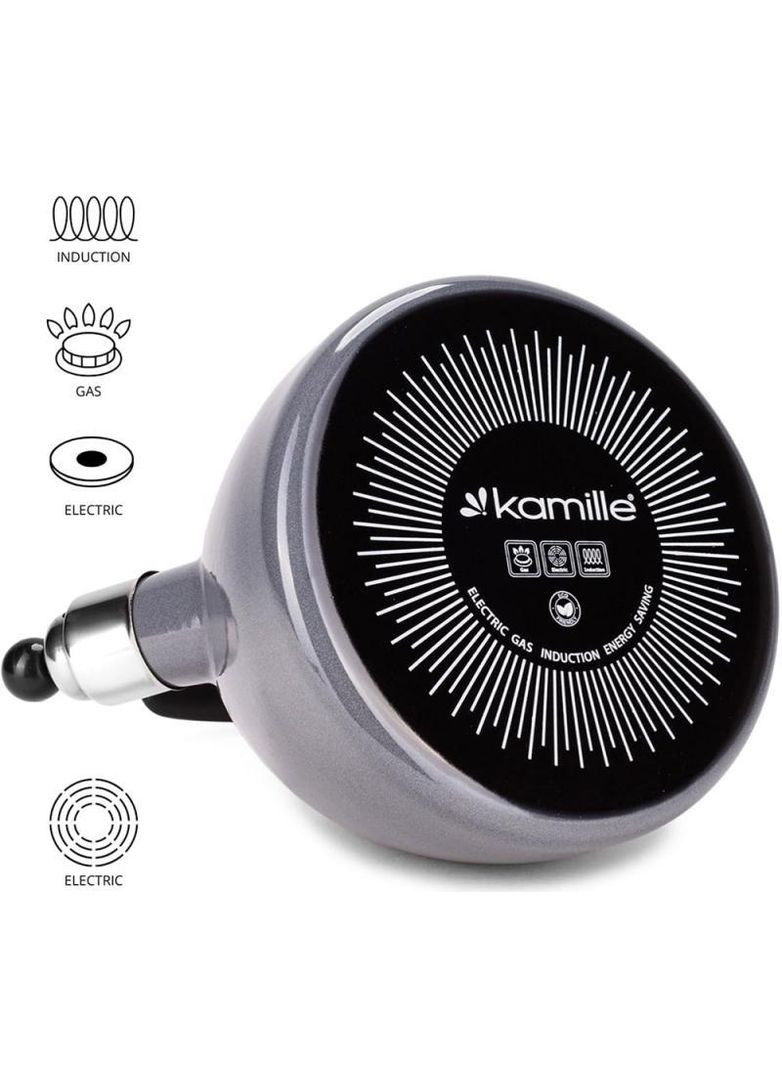 Чайник эмалированный "Boiling Water" 2.5л со свистком, индукционный, серый Kamille (339776074)