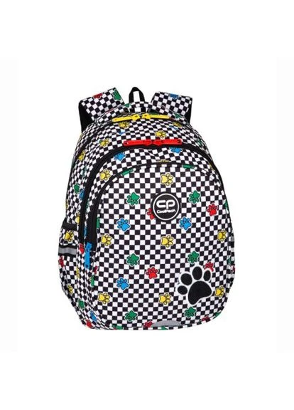 Рюкзак молодіжний Toby CATCH ME, 39 см CoolPack (397863290)