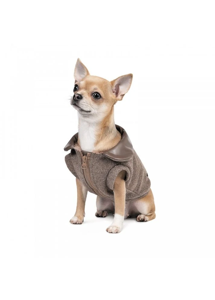 Жакет Harry для собак Pet Fashion (377872412)