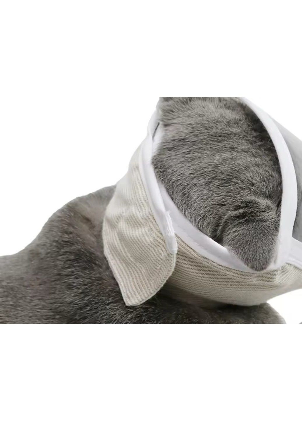 Відновний комір — прозорий конус Маска Розмір М 20-25 см. Xtep (320953348)