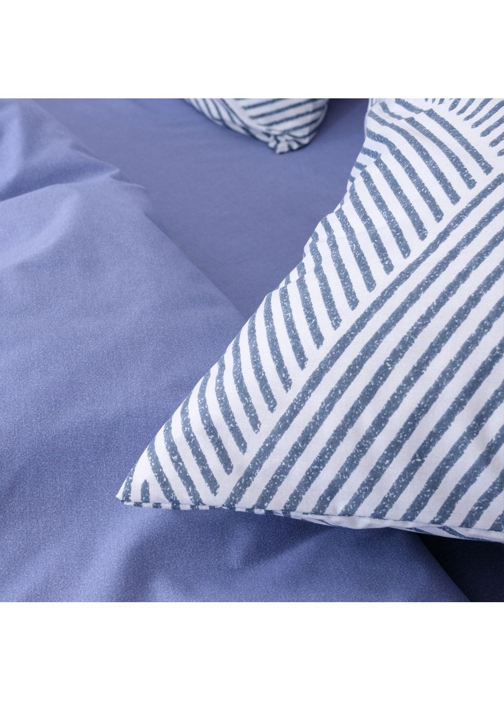 Комплект постільної білизни подвійний ранфорс Viluta 25406-dv (369779441)