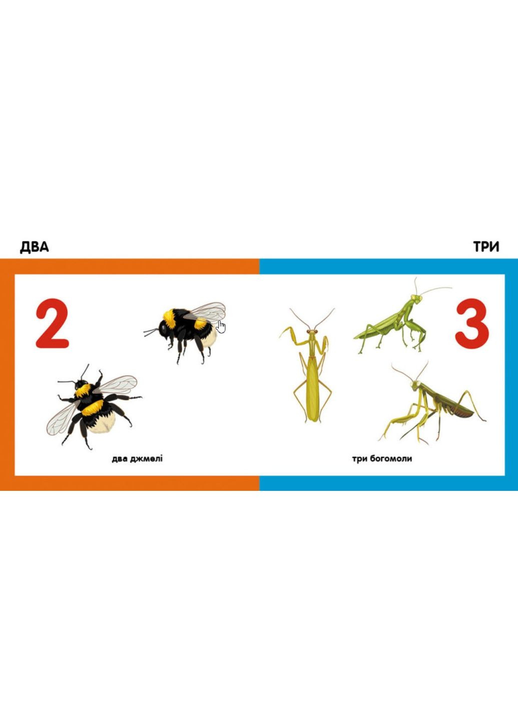 Смарткниги : Цифры РАНОК (316082613)