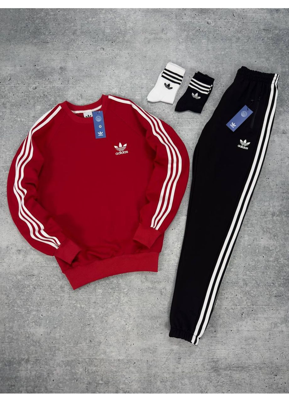 Костюм: Світшот-штани-2пари шкарпетки No Brand (350790628)