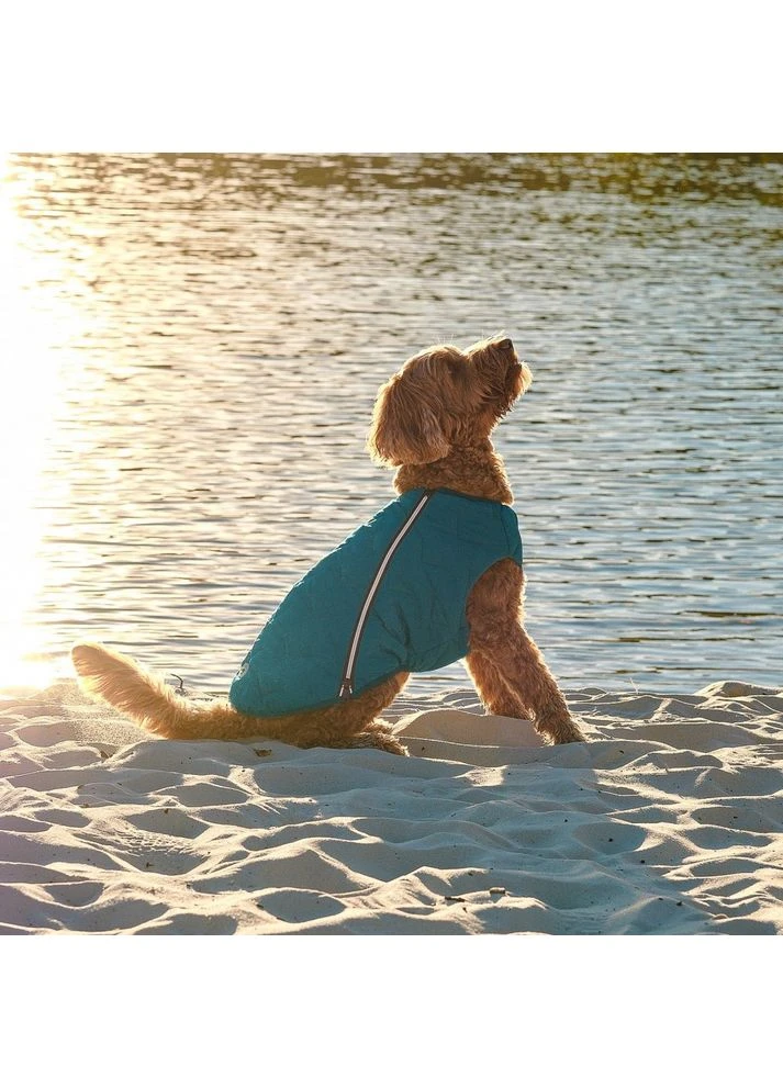 Жилет для собак E.Vest бирюзовый размер XS-2 Pet Fashion (395732130)