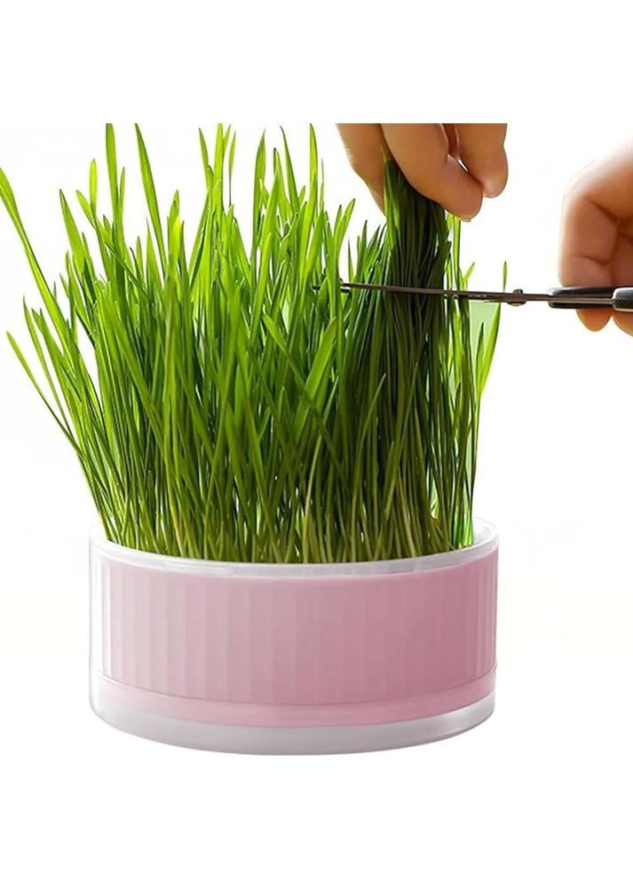 Лоток для гідропонного вирощування мікрозелені та розсади круглий рожевий (NR0169_3) No Brand (303898390)