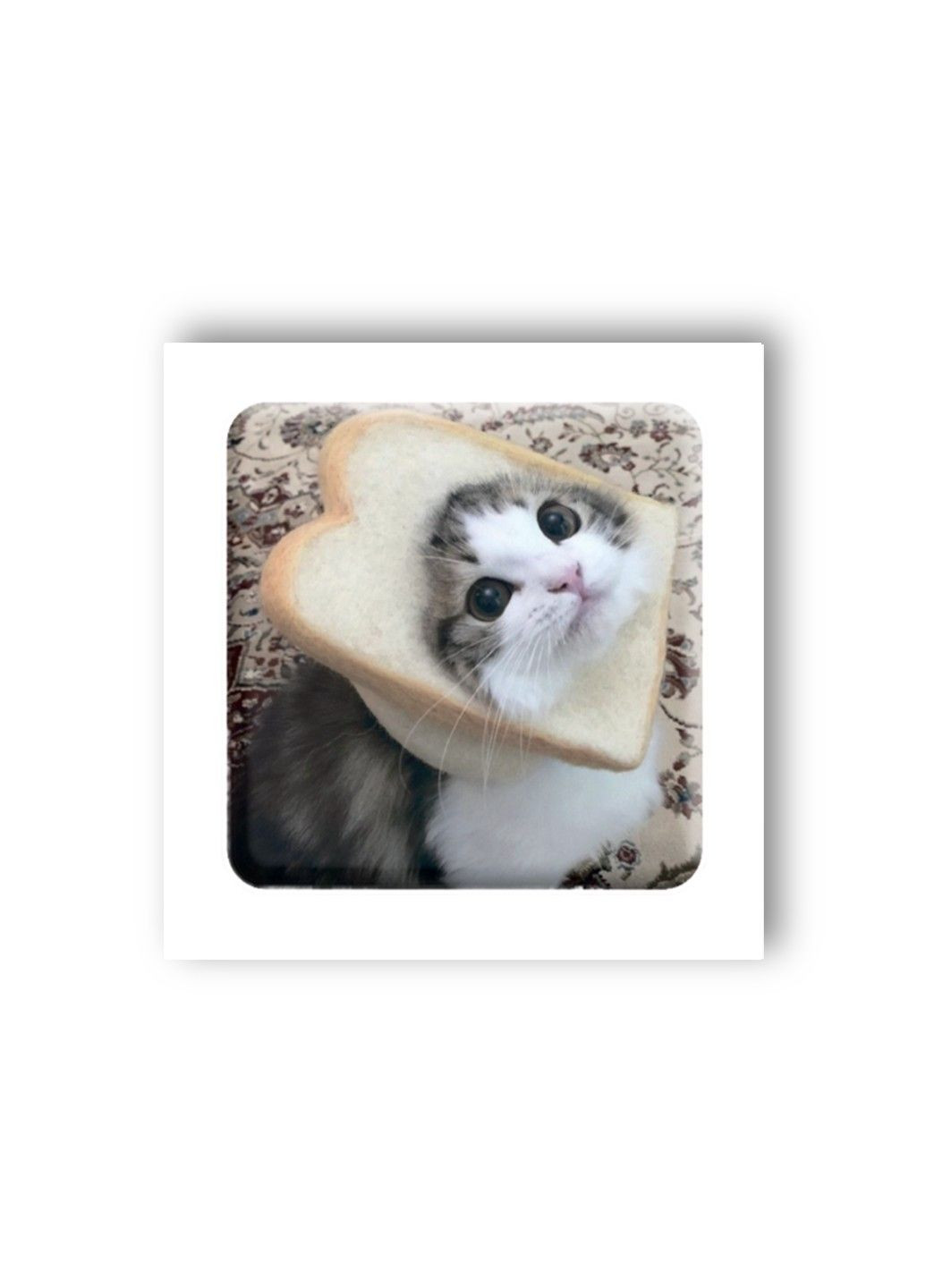 Объемная наклейка "Мем смешной кот" Tattooshka (304773831)