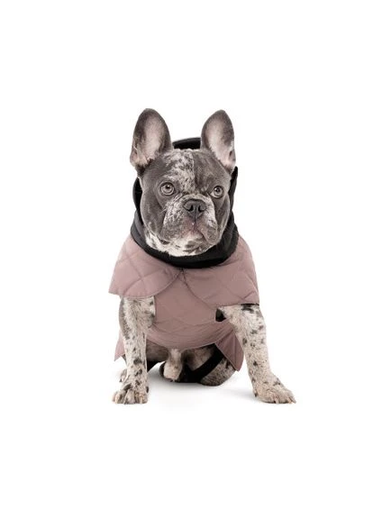 Попона Max для собак S3 Pet Fashion (380982909)