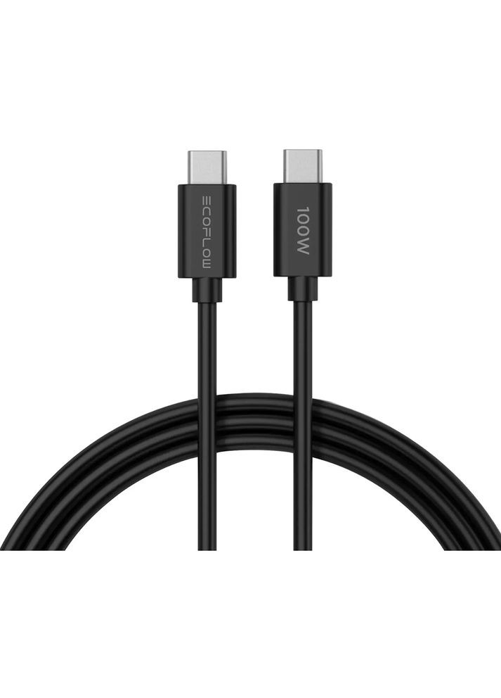 Зарядное устройство RAPID 65W + Cable USB Type-C – USB Type-C 100W (EFA-65W-GAN-CHARGER-EU) EcoFlow (325477789)