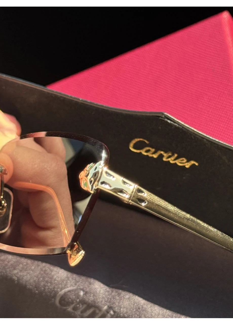 Сенцезахисні окуляри преміум якості Panthere CT2137S No Brand (392103268)