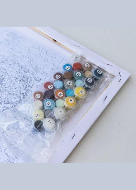 Розмальовка за номерами для дорослих Зоряне небо 40х50см GX47421 Rainbow Art (317590290)