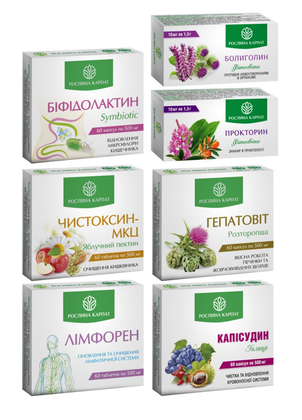 Програма при геморої (Лімфорен, Болиголин, Прокторин, Чистоксин, Капісудин, Гепатовіт, Біфідолактин) Рослина Карпат (365655970)