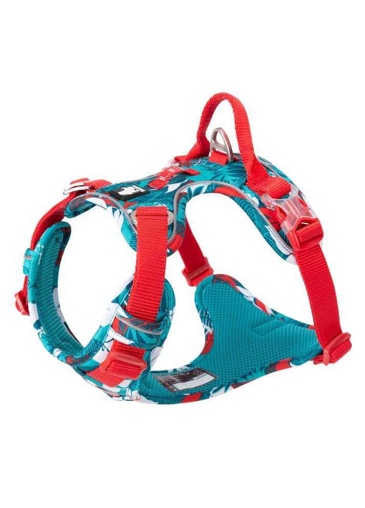 Шлея для собак Tropical, регулируемая светоотражающая нейлоновая шлея, Голубой L (69-81см) Truelove (299915360)