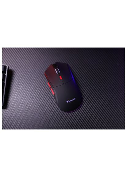 Мишка (GW-613) XTRIKE ME GW-613 Wireless/Bluetooth Black (366869336)