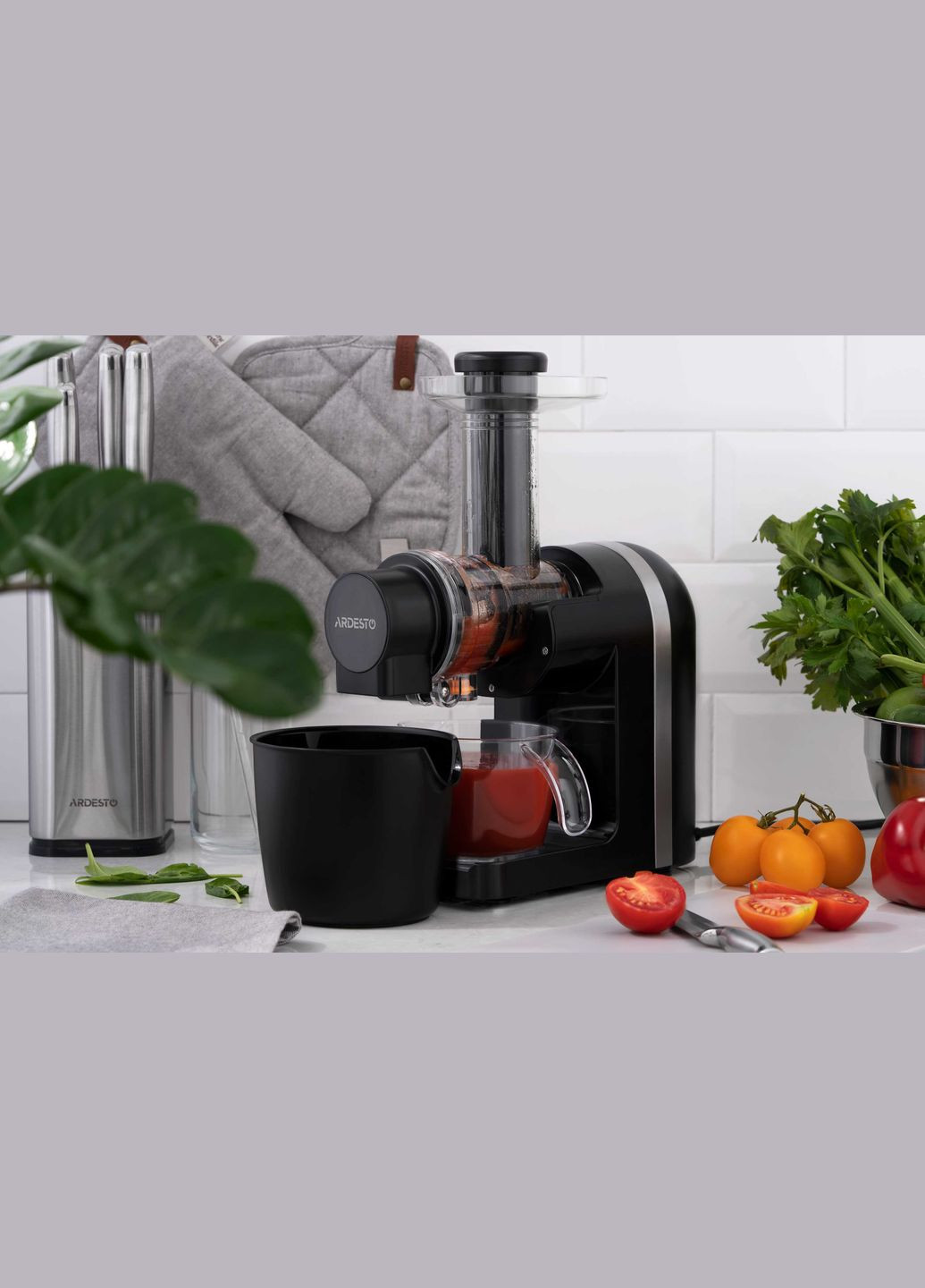 Соковыжималка шнековая 200Вт, чаша 0.6л, жмых-0.7л, пластик/металл, черно-серебристый Ardesto (315600753)