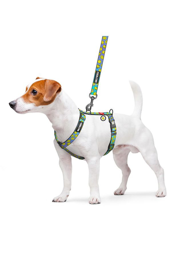 Шлея для собак анатомічна H-подібна WAUDOG Nylon з QR-паспортом, малюнок "Смайли на блакитному", пластиковий фастекс,, Ш 25 мм, No Brand (363201191)
