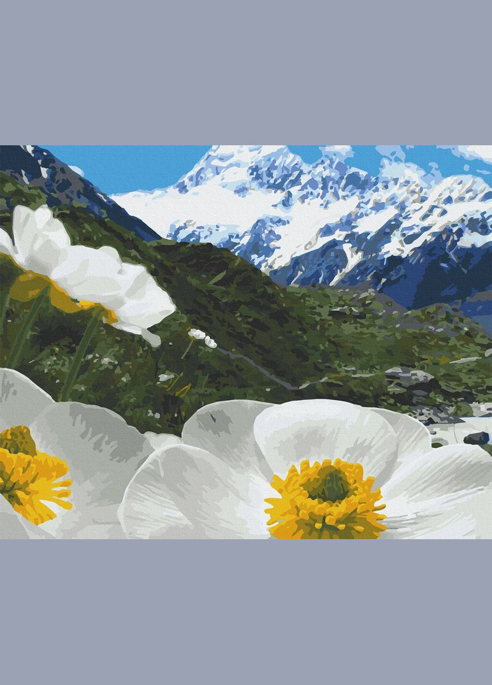 Картина за номерами. "Альпійські маки" 40х50 см 10564-AC Art Craft (300175137)