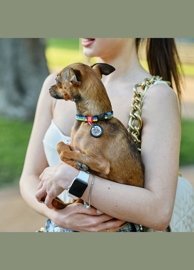 Ошейник для мелких пород собак нейлоновый Nylon c QR-паспортом, рисунок "Colors of freedom", XS, Ш 10 мм, Дл 20-30 см WAUDOG (330245309)