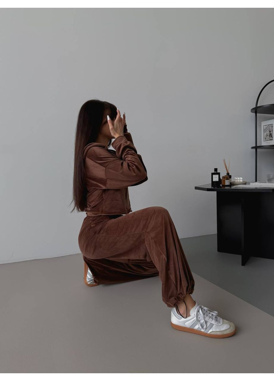 Жіночий стильний велюровий костюм Україна (355889621)