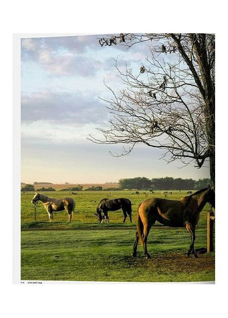 Книга Great Escapes Latin America. The Hotel Book (9783836584357) Taschen (364654066)