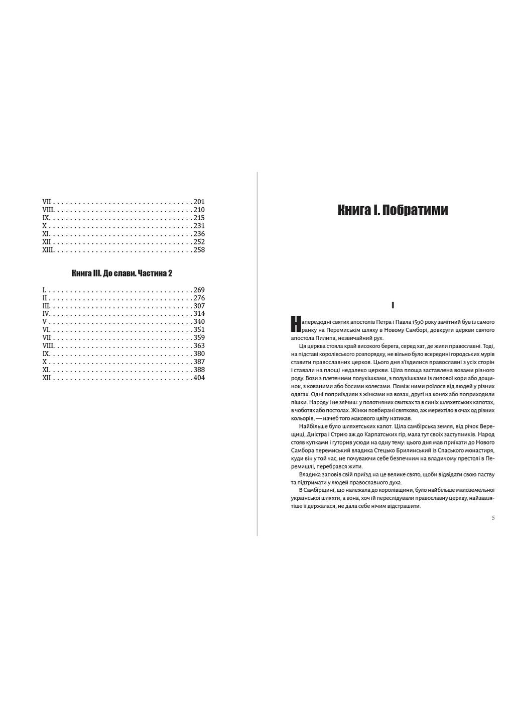 Андрей Чайковский - Сагайдачный Андронум (354331695)