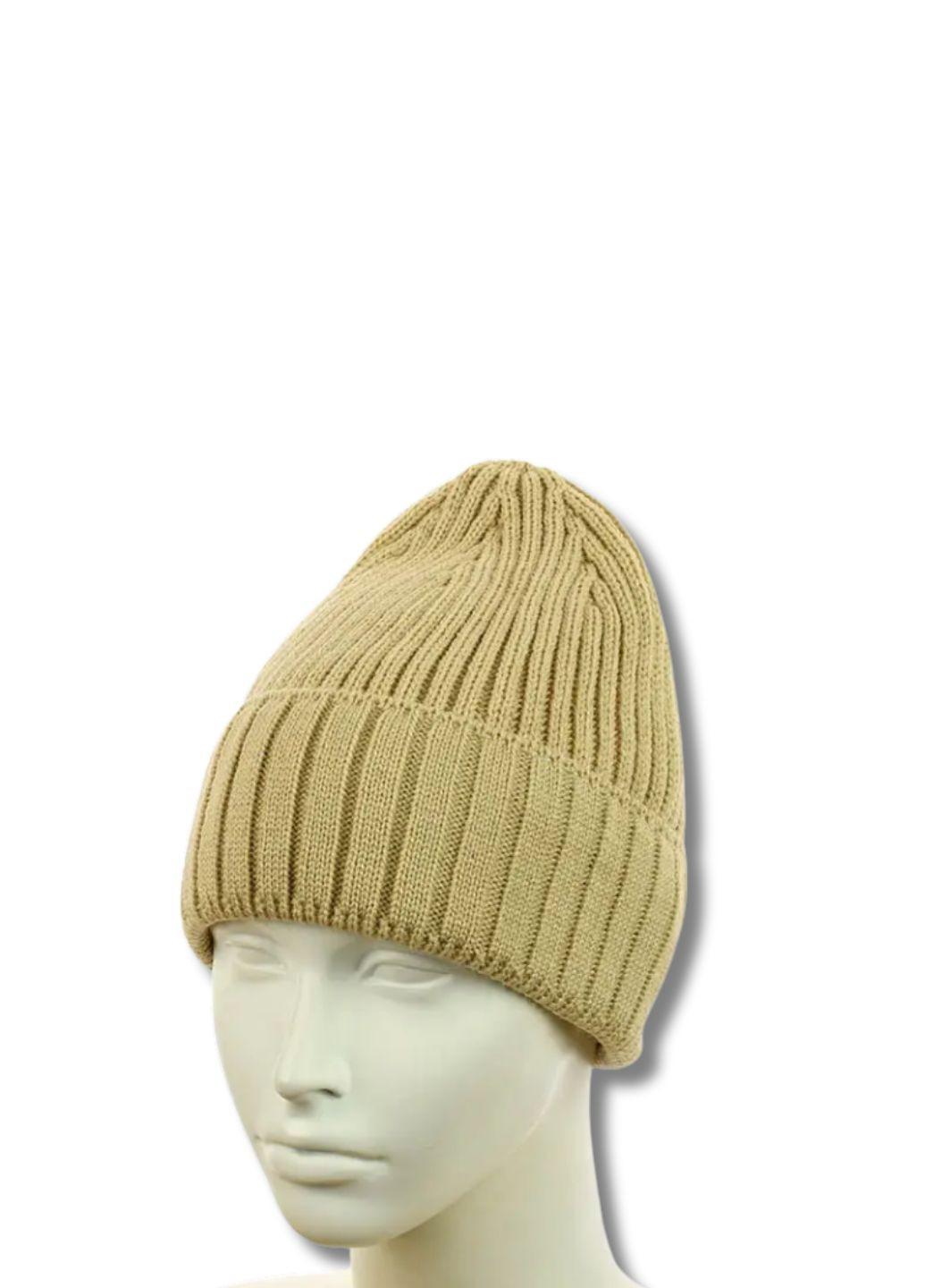 Молодежная зимняя шапка бини на флисе - Катрин No Brand Шапка біні Катрін (339597060)