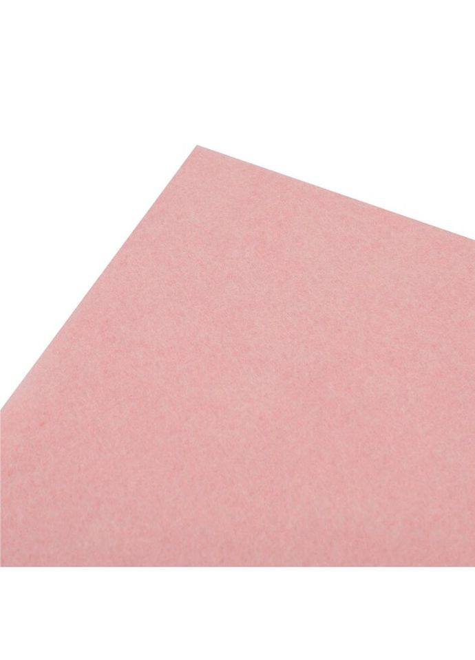 Набор фетра жесткого 741840 21х30 см 10 листов телесный Santi (335586001)