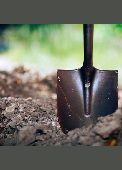 Лопата штыковая WS-003 (126153) Werk (317345650)