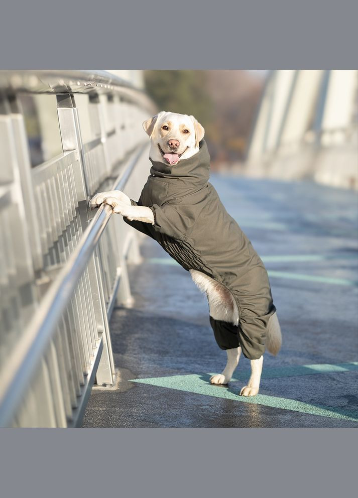 Комбінезон Travis Khaki (T4123/M) Noble Pet (363057881)