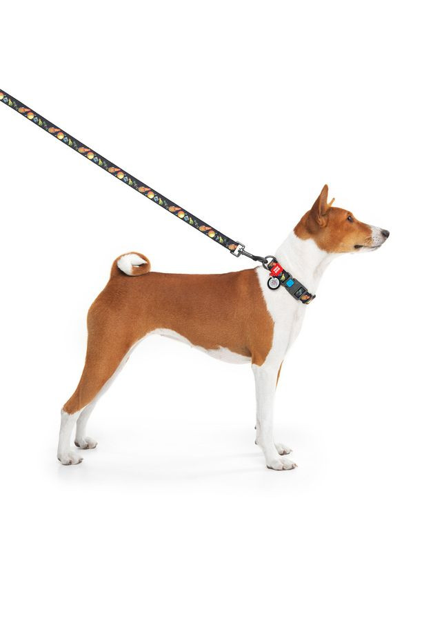 Нашийник для собак нейлоновий WAUDOG Nylon з QR паспортом, малюнок "Рік та Морті 3", пластиковий фастекс,,Ш 25 мм, Д 37-58 см No Brand (363198550)