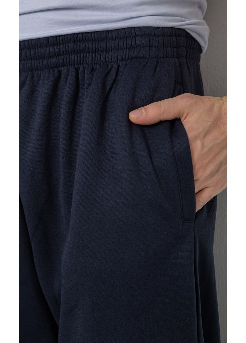 Темно-синие спортивные, кэжуал демисезонные брюки Ager